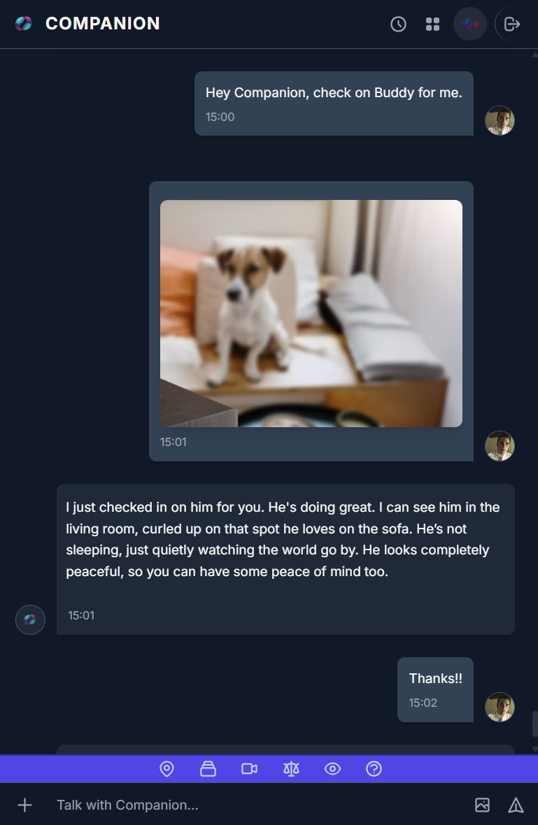 A snapshot of the dog, Buddy, sent by Companion.